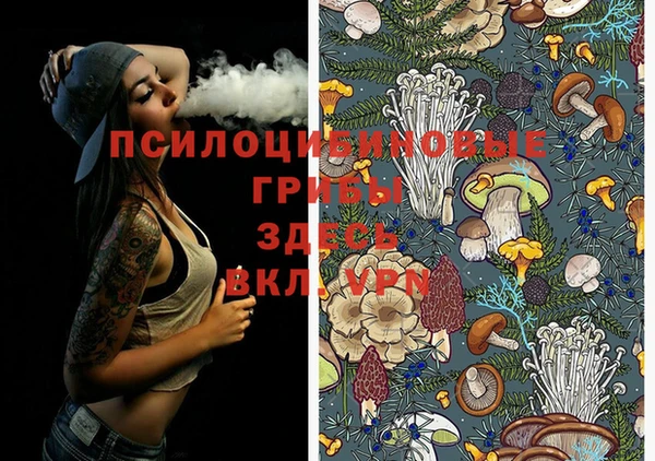 эйфоретик Нефтегорск