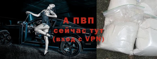 спайс Нея