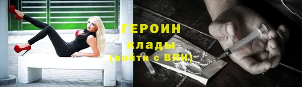 молекула духа Ладушкин