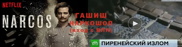 скорость Новозыбков
