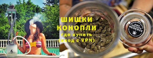 спайс Нея